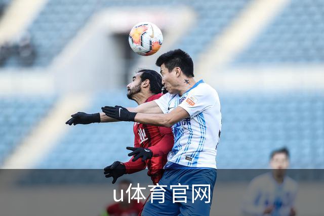 u体育官网公司简介